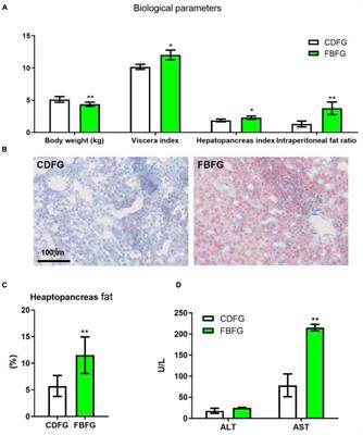 Feeding Faba Beans (Vicia faba L.) Reduces Myocyte Metabolic Activity in Grass Carp (Ctenopharyngodon idellus)